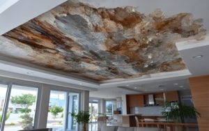 Ceiling Repair