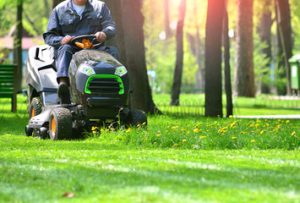 Lawn Mowing